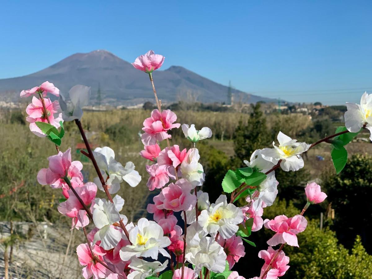 Villa Valentino Pompeji 外观 照片